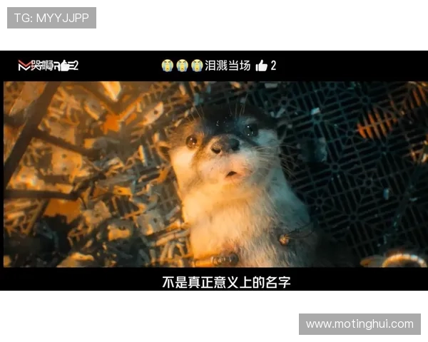 10句台词揭秘《银河护卫队3》感人结局，你哭了吗