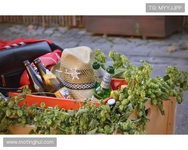 啤酒花与命运交织的故事在流转的岁月中展开了一段关于爱、失落与重生的永恒旅程