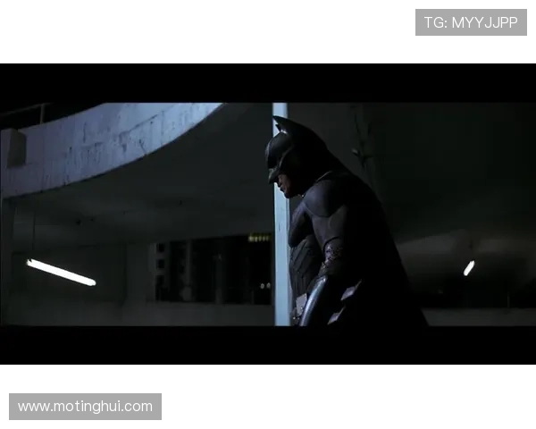 不仅仅是黑暗骑士:蝙蝠侠在豆瓣上的不朽传奇 不仅仅是黑暗骑士:蝙蝠侠在豆瓣上的不朽传奇