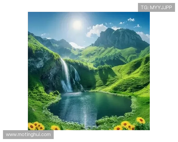 幽静深邃的青木原:一个关于生命、自然与思考的探索之旅