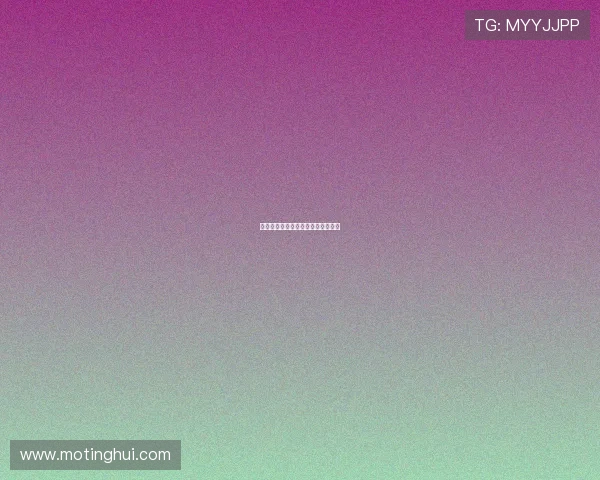 呆佬贺寿：一场跨越时空的温情之约